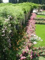 Blumenparadies &ndash; &copy; Matthias Wolf (Eberhardt TRAVEL)
