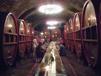 Weinprobe