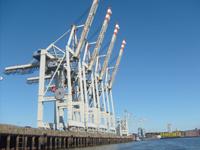 Containerbrücken &ndash; &copy; Elke Reuter (Eberhardt TRAVEL)