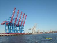 Containerbrücken &ndash; &copy; Elke Reuter (Eberhardt TRAVEL)