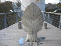 Baumkronenpfad