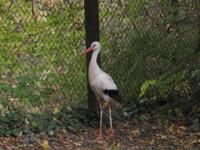 Vogelschutzwarte Seebach
