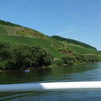 Moselhänge &ndash; &copy; Steffi Zimmermann (Eberhardt TRAVEL)