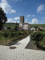 Weingut Carl Jung, Rüdesheim &ndash; &copy; Ivonne Lischke (Eberhardt TRAVEL)