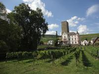 Weingut Carl Jung, Rüdesheim &ndash; &copy; Ivonne Lischke (Eberhardt TRAVEL)