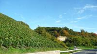112-Becksteiner Weinberg