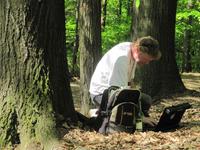 Musik im Wald