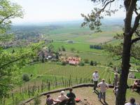 Ausblick