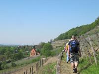 Weinberg-Wanderung