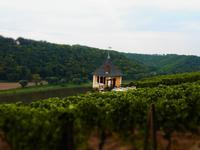 Blick ins Elbtal &ndash; &copy; Elisa Müller (Eberhardt TRAVEL)