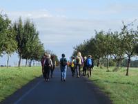 Obstbaumallee &ndash; &copy; Barbara Mihut (Eberhardt TRAVEL)