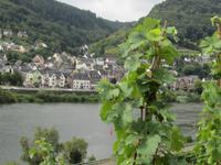 Moselblick &ndash; &copy; Barbara Mihut (Eberhardt TRAVEL)