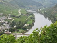 Weg nach Trittenheim &ndash; &copy; Barbara Mihut (Eberhardt TRAVEL)