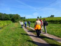 nächstes Ziel Schloß Proschwitz &ndash; &copy; Doreen Päßler (Eberhardt TRAVEL)