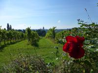 mit Farbtupfer &ndash; &copy; Doreen Päßler (Eberhardt TRAVEL)