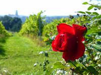 auch schön &ndash; &copy; Doreen Päßler (Eberhardt TRAVEL)