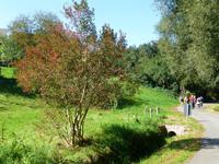 weiter gehts in Richtung Winkwitz &ndash; &copy; Doreen Päßler (Eberhardt TRAVEL)