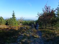Auf dem Weg zum Kahleberg