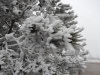 Winterlandschaft