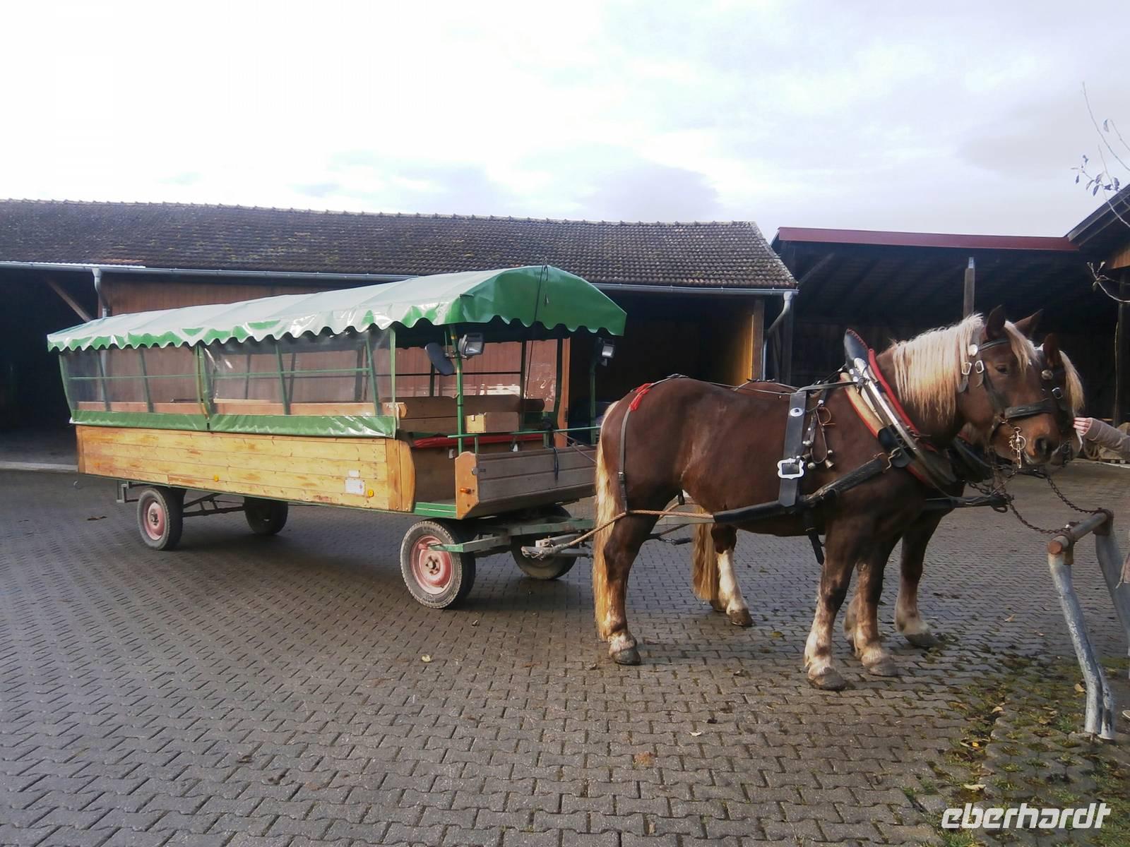 Michlbauer-Pferdekutschfahrt &ndash; &copy; Peggy Pfützner (Eberhardt TRAVEL)