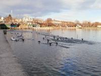 Starnberger See &ndash; &copy; Ingrid Langer (Eberhardt TRAVEL)