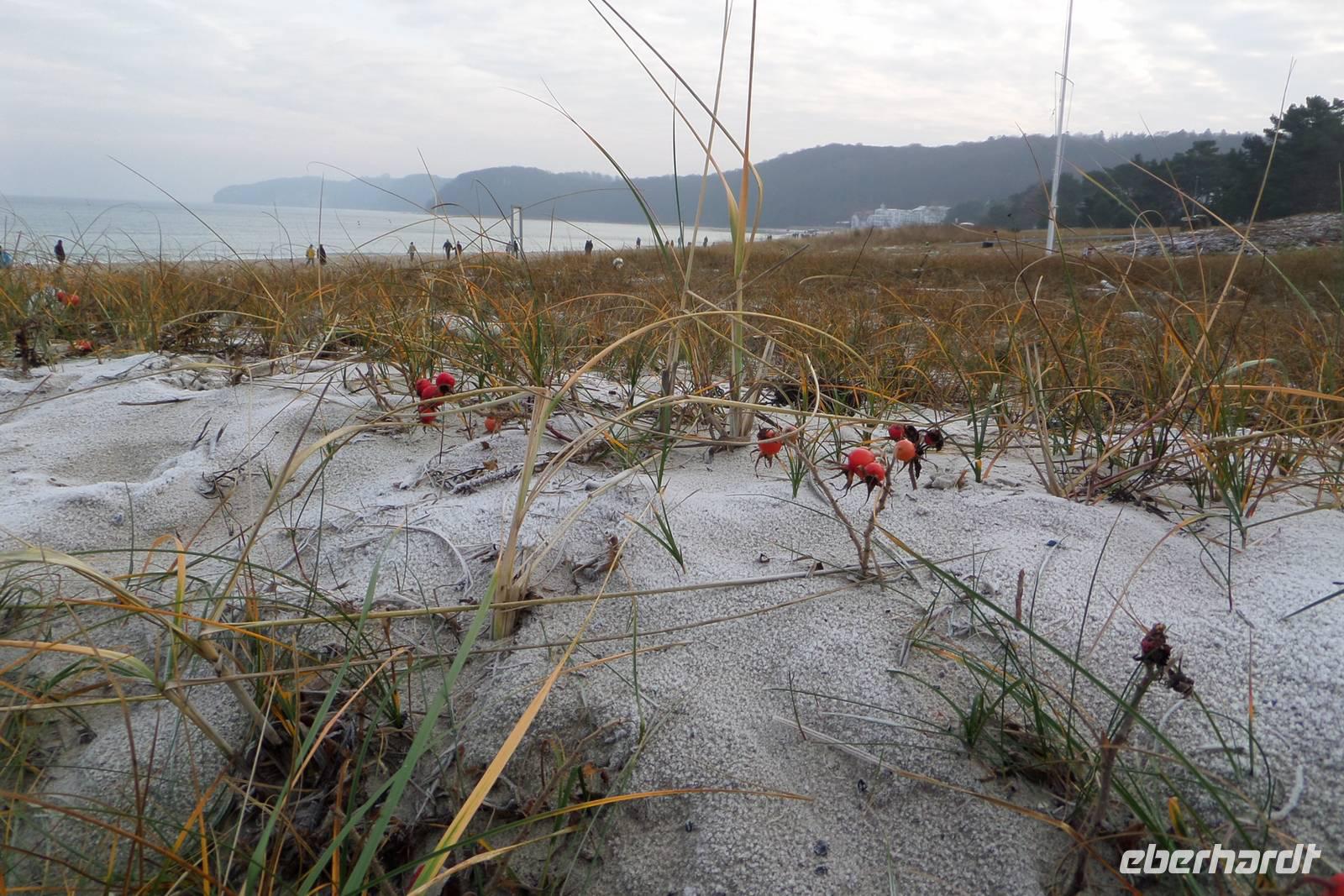 Leichter Frost! &ndash; &copy; Petra Sauer (Eberhardt TRAVEL)