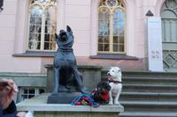 Jagdhunde &ndash; &copy; Petra Sauer (Eberhardt TRAVEL)