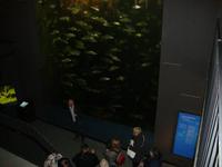 Müritzeum &ndash; &copy; Harald Kühne (Eberhardt TRAVEL)