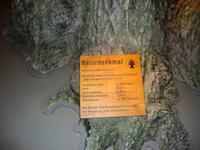 Müritzeum &ndash; &copy; Harald Kühne (Eberhardt TRAVEL)