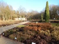 Heidegarten von Schneverdingen &ndash; &copy; Madlen Lippe (Eberhardt TRAVEL)