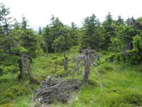 am Brocken &ndash; &copy; Petra Lehe (Eberhardt TRAVEL)