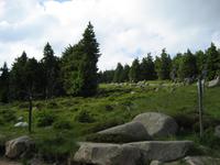 am Brocken &ndash; &copy; Petra Lehe (Eberhardt TRAVEL)