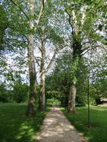 Englischer Garten in Schönenwerd