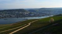 199 Blick vom Niederwalddenkmal auf Bingen