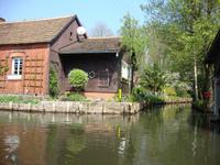 Im Spreewald &ndash; &copy; Harald Kühne (Eberhardt TRAVEL)