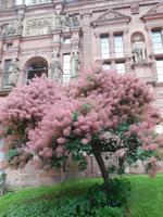 im Schlosshof &ndash; &copy; Heike Meinhold (Eberhardt TRAVEL)