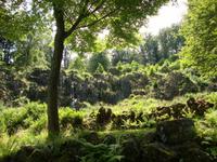 Bergpark &ndash; &copy; Harald Kühne (Eberhardt TRAVEL)