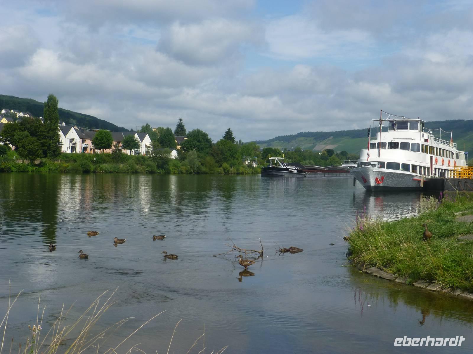 An der Mosel &ndash; &copy; Petra Hanschke (Eberhardt TRAVEL)