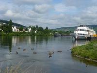 An der Mosel &ndash; &copy; Petra Hanschke (Eberhardt TRAVEL)