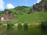 An der Mosel &ndash; &copy; Petra Hanschke (Eberhardt TRAVEL)