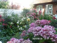 Nord-Ostsee Radtour 2014 214 &ndash; &copy; Barbara Werrmann (Eberhardt TRAVEL)