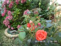 Nord-Ostsee Radtour 2014 215 &ndash; &copy; Barbara Werrmann (Eberhardt TRAVEL)
