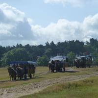 Kutschfahrt &ndash; &copy; Kerstin Hugel (Eberhardt TRAVEL)