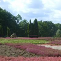 Heidegarten &ndash; &copy; Kerstin Hugel (Eberhardt TRAVEL)