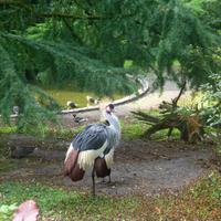 Vogelpark Walsrode &ndash; &copy; Kerstin Hugel (Eberhardt TRAVEL)