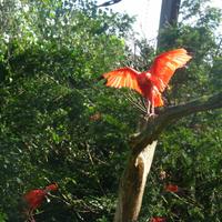 Vogelpark Walsrode &ndash; &copy; Kerstin Hugel (Eberhardt TRAVEL)