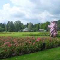 Vogelpark Walsrode &ndash; &copy; Kerstin Hugel (Eberhardt TRAVEL)