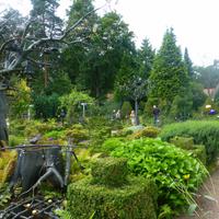Iserhatsche &ndash; &copy; Kerstin Hugel (Eberhardt TRAVEL)