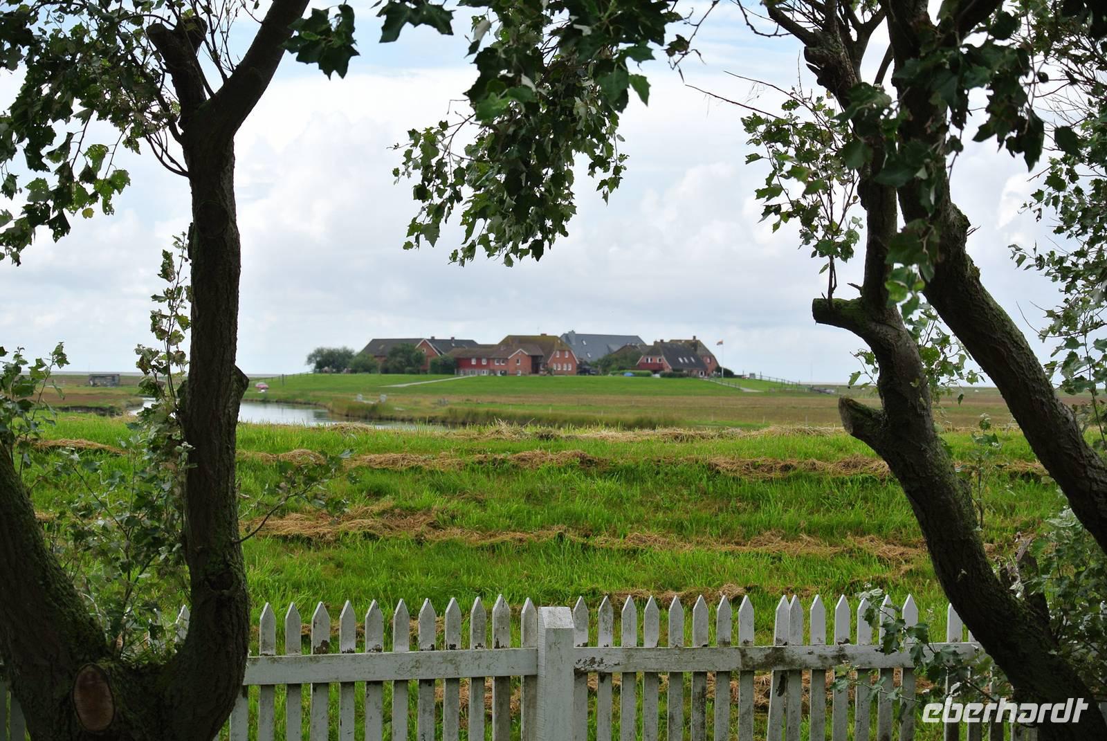 Hallig Hooge &ndash; &copy; Gerd Przybyla (Eberhardt TRAVEL)