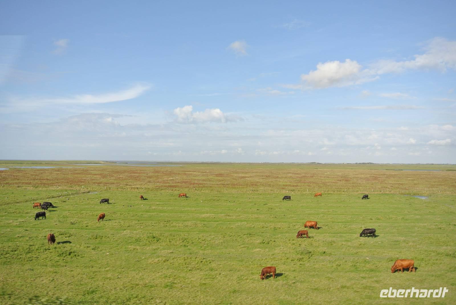 Insel Sylt &ndash; &copy; Gerd Przybyla (Eberhardt TRAVEL)